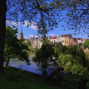 On aime toujours autant Bruxelles 🤩.#brussels #belgium #garden